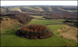 The North Downs in Kent
