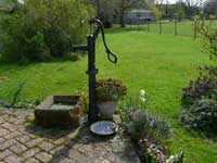 Picturesque garden